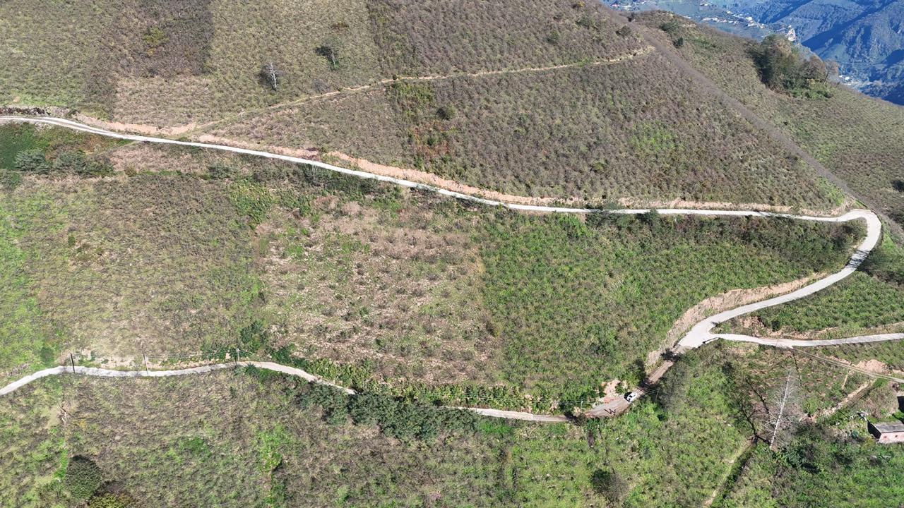 MABEL GAYRİMENKUL-ŞEYHMUSA KÖYÜ FIRSAT FINDIK BAHÇESİ